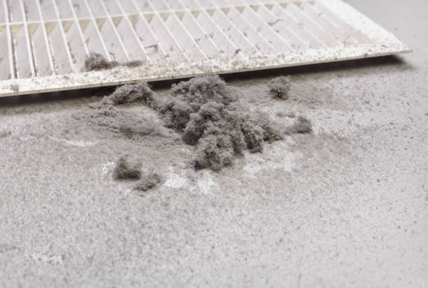 Best Dryer Vent Cleaning Services  in Laflin, PA